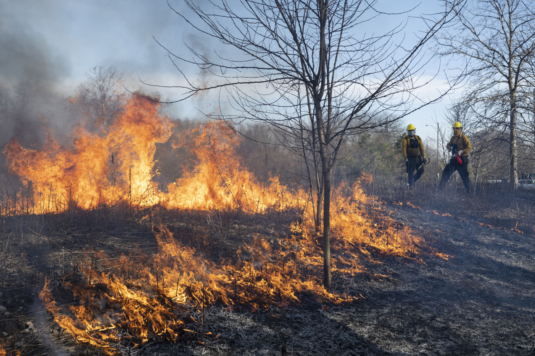 Photo: Park District conducts controlled burn in nature sanctuary